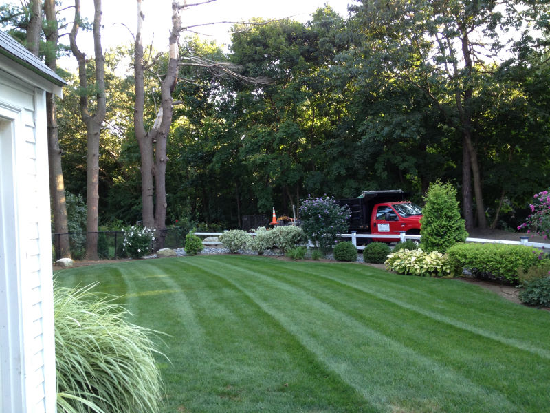 Landscape Design and Maintenance