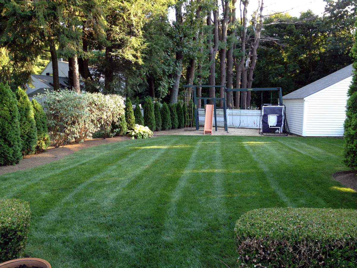 Landscape Design and Maintenance